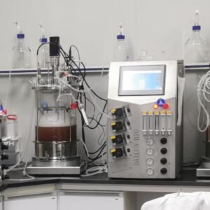 microbial cell culture