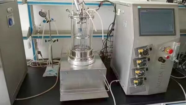 Fed Batch Bioreactor Design Glass Primary Fermenter with fermentation bioreactor System - Image 4
