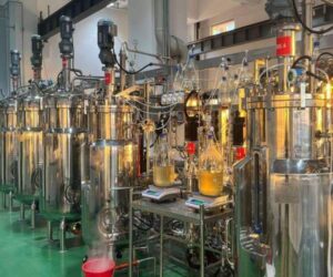 Small scale bioreactor fermenter for sale