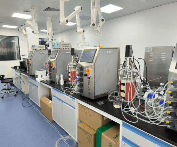 china parallel bioreactor supplier